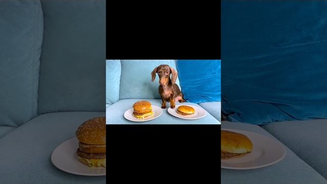 SVID_20250612_121001_1.mp4