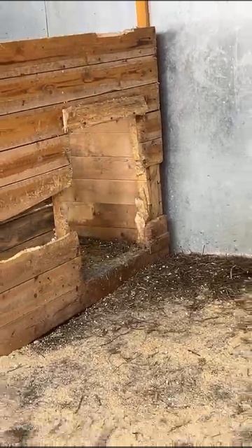 Счастливый билет