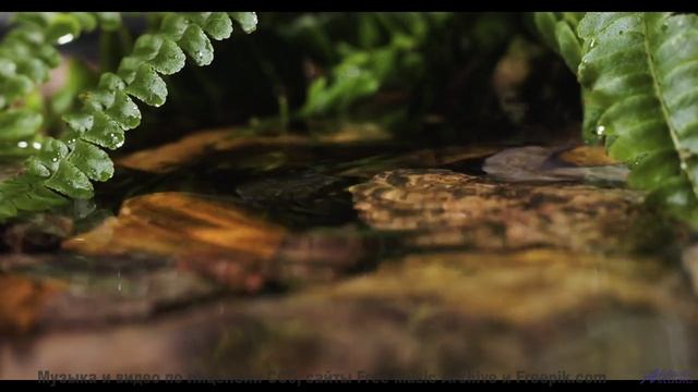 Мелодия делает горизонты ближе, чем когда-либо - Make A Wish -- Scott Holmes Music -- Inspiring Back