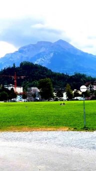 Всё произошло на камеру