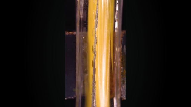 Pen портал