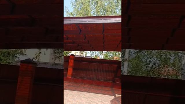 1000495024.mp4