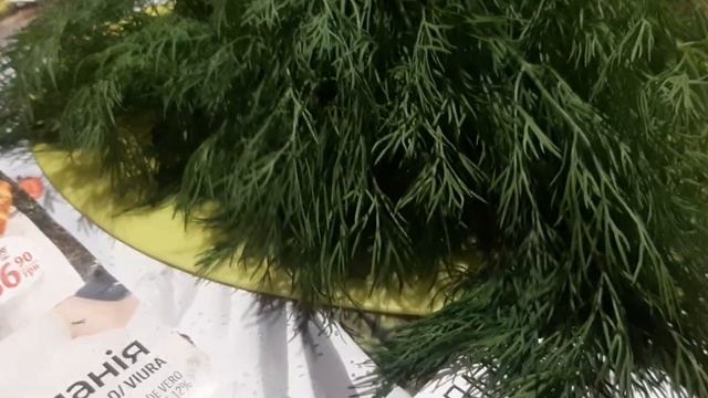 Молодой уроп 🌿 в Октябре 🍁 Заготовки на зиму , сушим ?