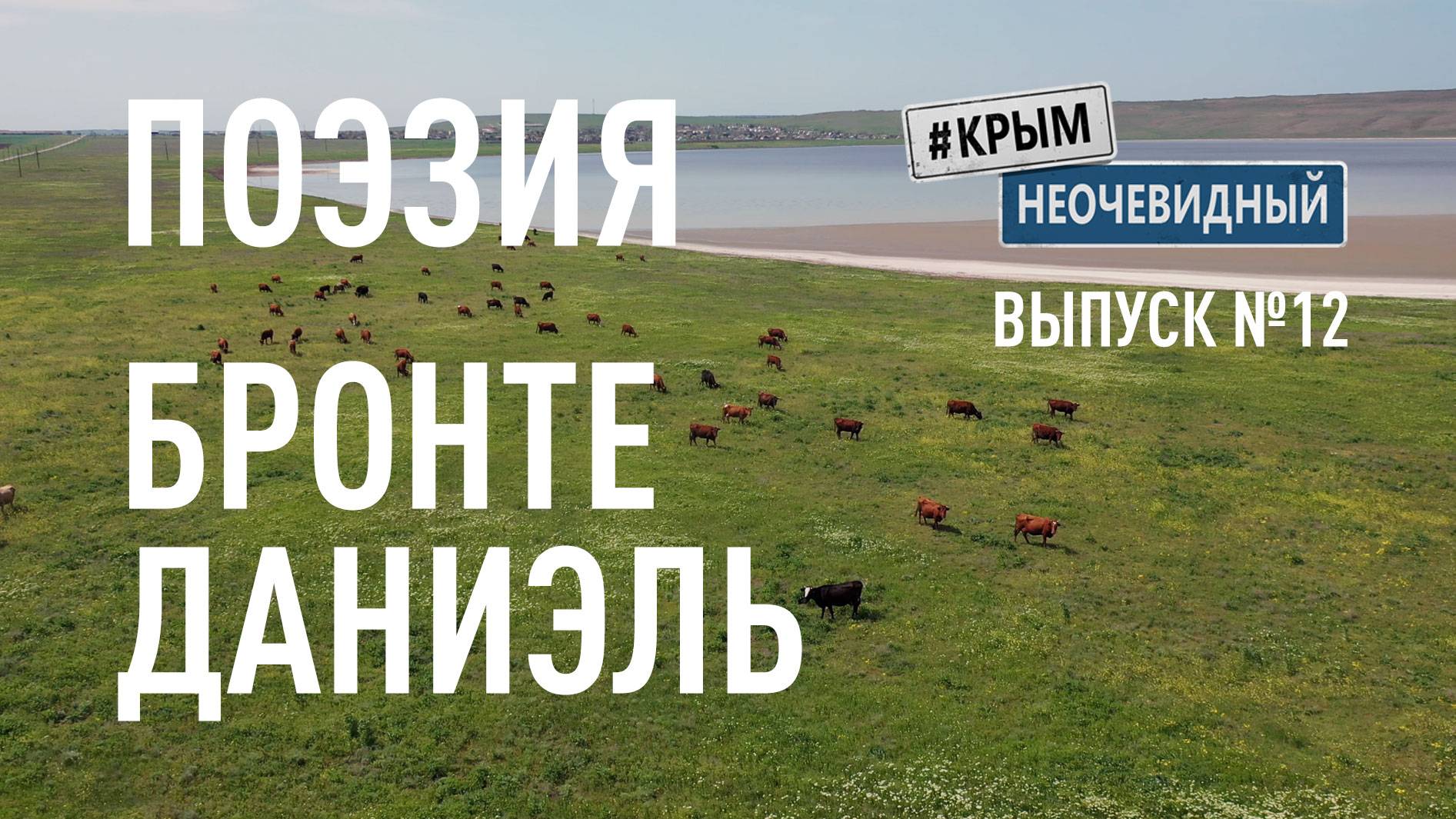 #КрымНеОчевидный: Тебе Крым (Глава 264). Поэзия Даниэль Бронте - На мир миллиарды шрамов...