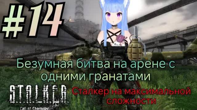 Yui2D проходит - S.T.A.L.K.E.R.: Тень Чернобыля #14.