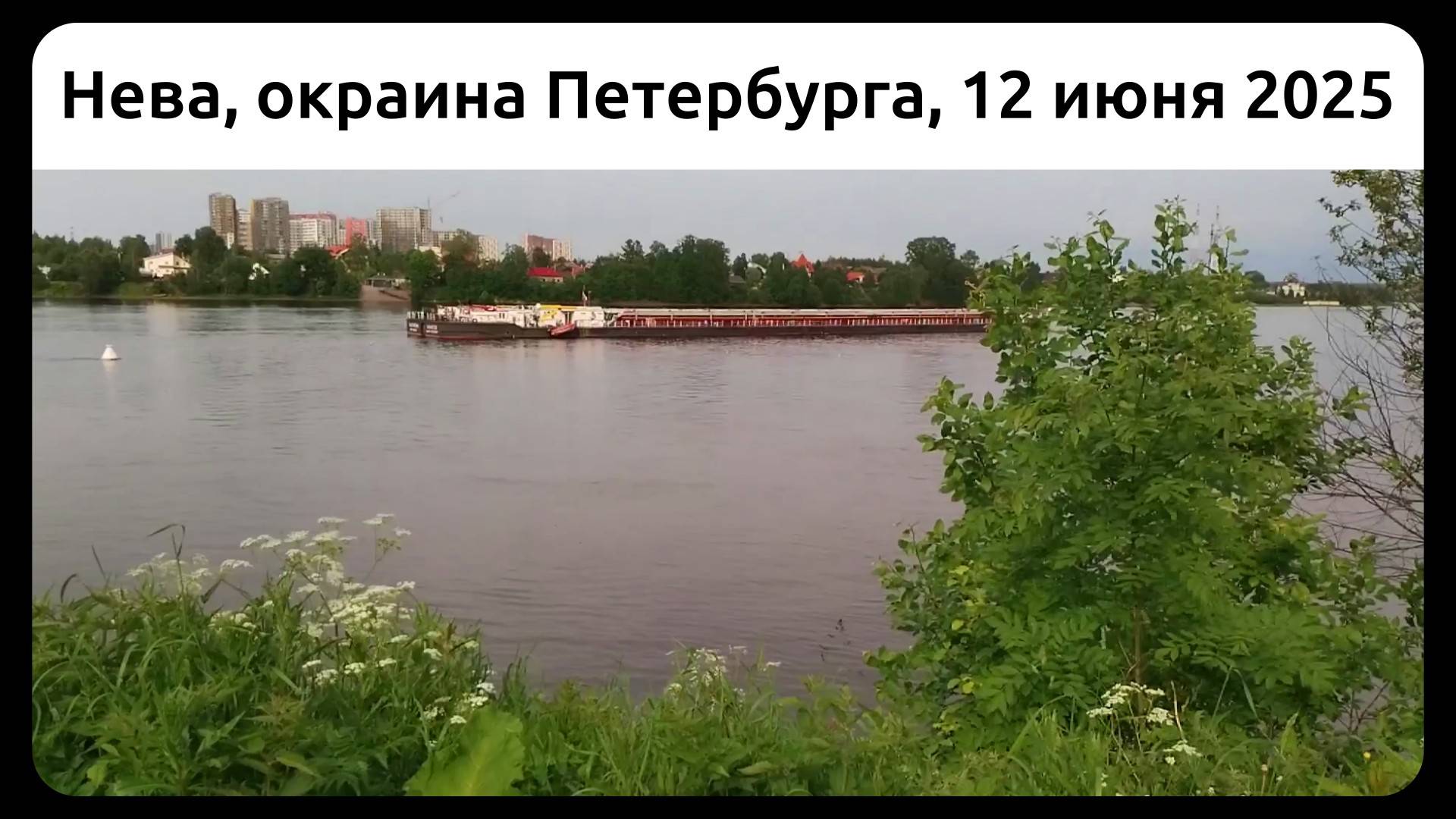 Нева, окраина Петербурга, 12 июня 2025.