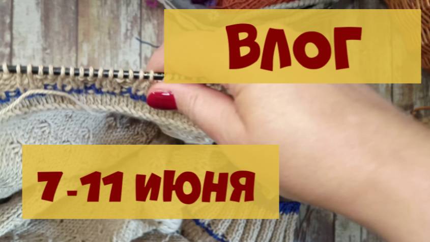 Кардиган дальневосточный суп и протеиновые печеньки