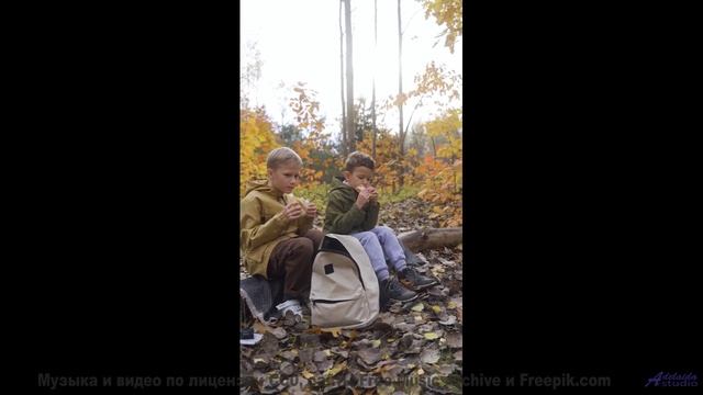 Эти леса под эту музыку - восторг - For Me -- Ketsa -- Through to Fall