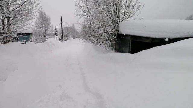 25.02.2024. Быстренько съездили на дачу на разведку)