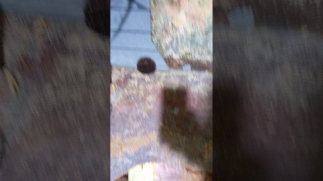 Вскрытие полов катера.Все в воде