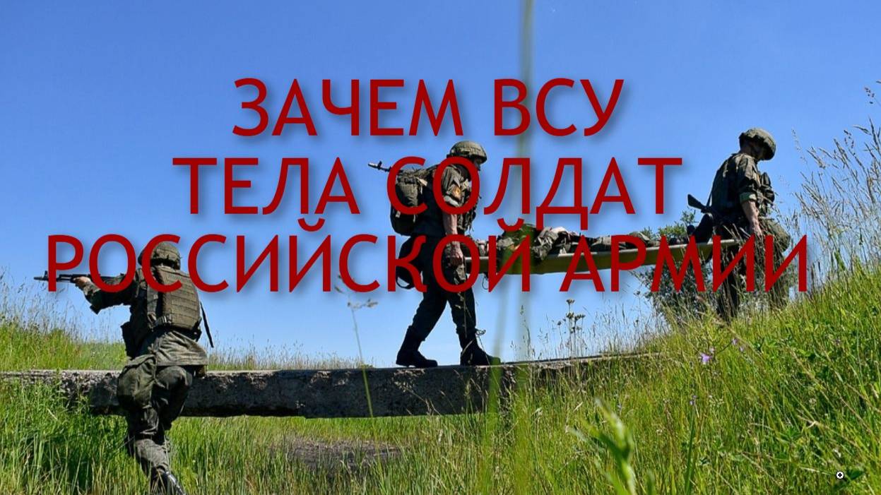 ПЛАН ЗЕЛЕНСКОГО / ВСКРЫТА ПРАВДА С ЛИНИИ ФРОНТА #зеленский #украина #россия #всу #киев