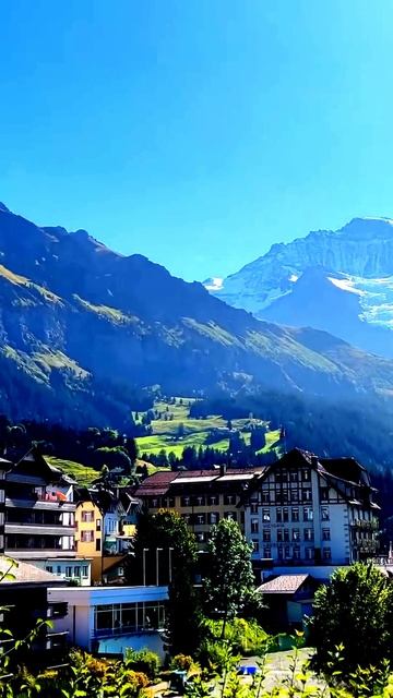 Кадры, которые шокируют