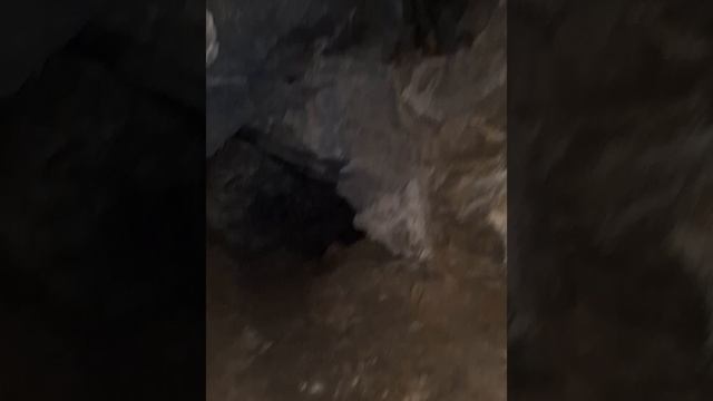 1000079052.mp4