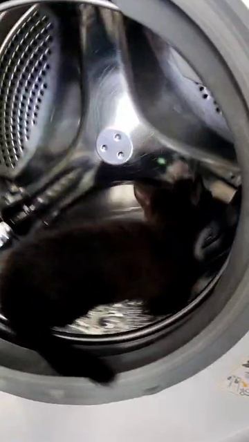 VID-20250611-WA0003