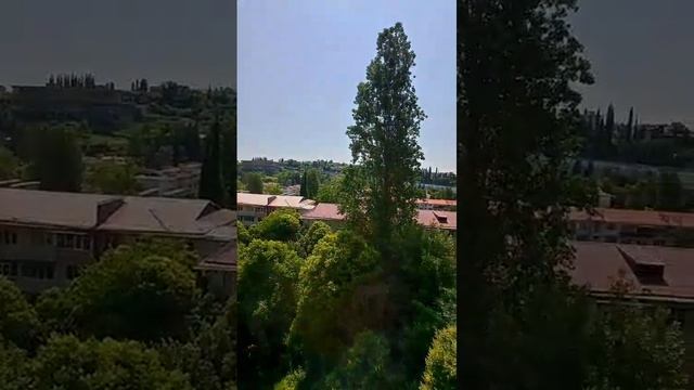 WhatsApp Video 2025-06-12 at 09.01.59