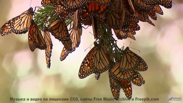 Эта композиция - как шёпот любимого на рассвете... - H3W -- Upseen -- El Monstruo