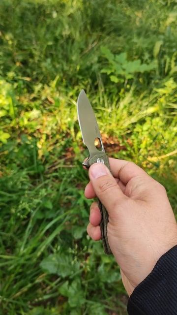 Haneybadger