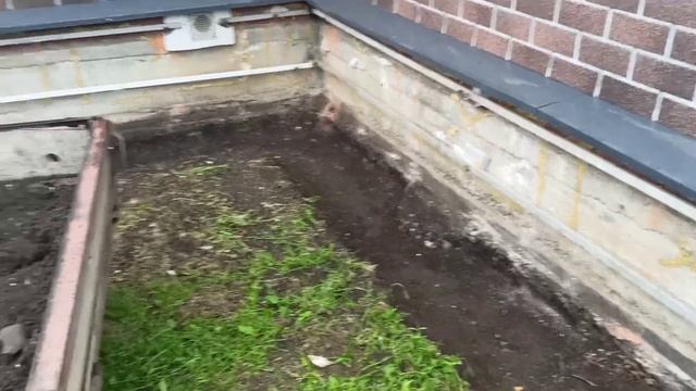 Не знаю, что будет с отпуском 🤷 Ко мне щенки пристают 🐕🐩