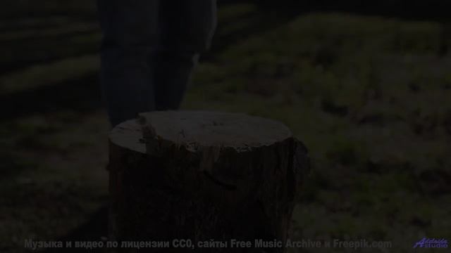 Мелодия наполняет сознание спокойствием и восторгом сразу - Nowhere Walls -- Taylor Poe -- Quiet Sou