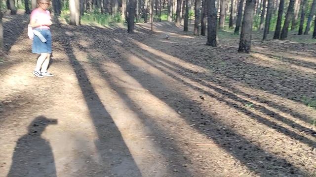 Прогулка по лесу мне по душе, тут так много деревьев, надо везде отметиться, что я тут был гав