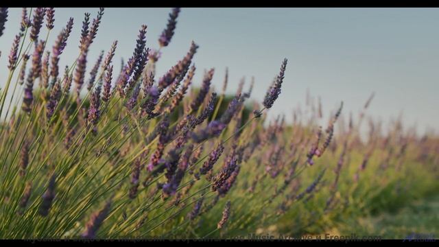 Песня года на фоне красоты Земли - Bursting -- Ketsa -- The New World