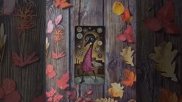 Для начинающих.Таро безумной луны.Девятка Пентаклей