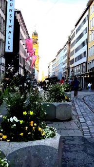 Камера поймала самую редкую секунду