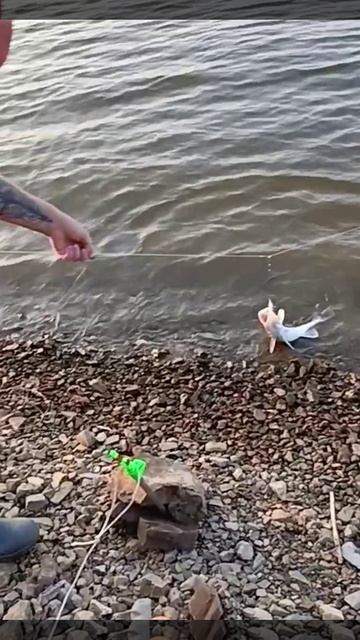 Рыбачим🦈