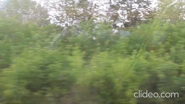 Прогулка по Перми в день рождения друга
