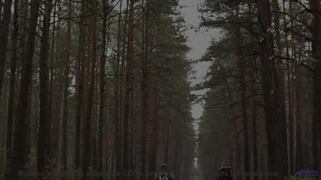 Видео, сжатое до квантовых битов - технологии за гранью! - thief of botanic knowledge -- los pilotos