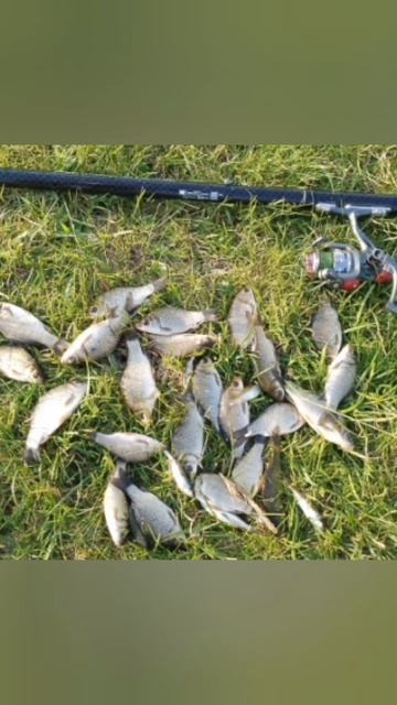 Немного порыбачил на Старице🎣 Ловил карасика на поплавок🎣 Прикормил своей прикормкой.