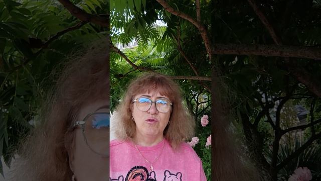 Видео N 1. ЗНАКОМСТВО С КАНАЛОМ "'МОЙ ДУХ - ЭТО ВЫСШЕЕ Я"
