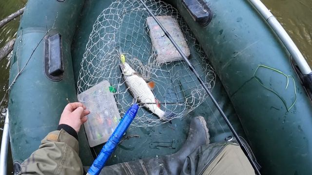 Голавль на воблер Zipbaits B-Switcher MDR Midget из-под куста