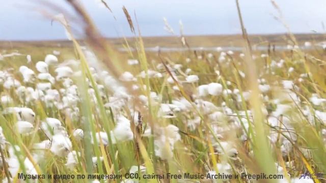 Дороги, поля и горизонты пульсируют в ритме трека - Symphony No. 1 I. Hope -- Steve Combs -- Symphon