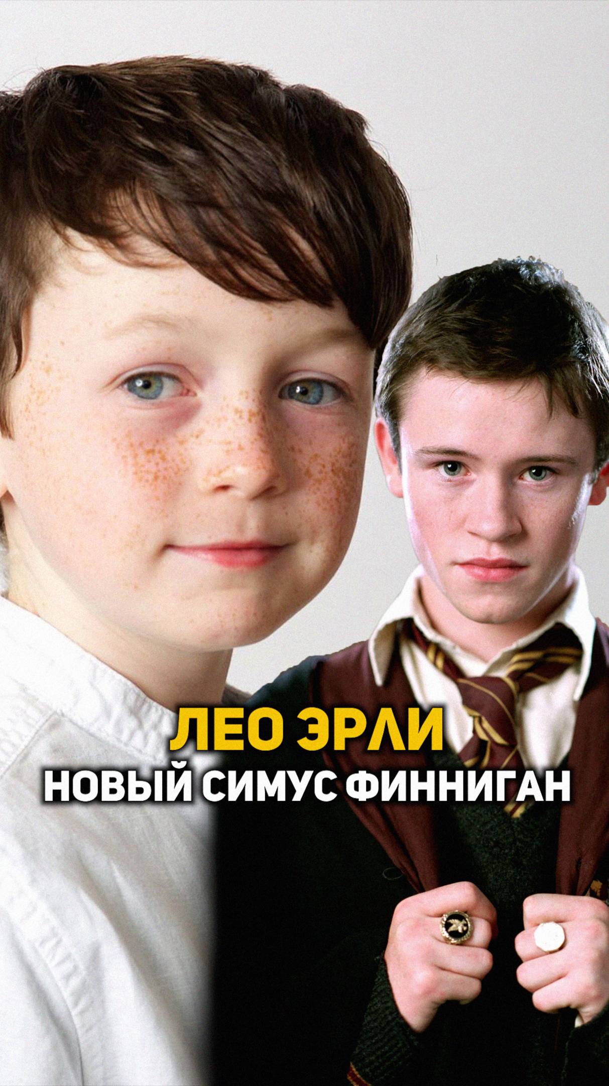 Лео Эрли - новый Симус Финниган #shorts #гаррипоттер