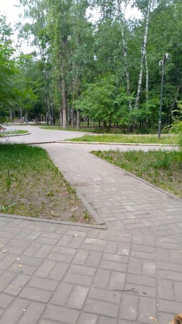 сиба ину- собака улыбака - поклон Сосо Павлиашвили