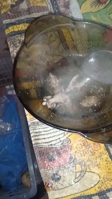 Мясо тушки полëвок мыши