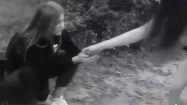 Как выжить в таких случаях? 😂😂😂