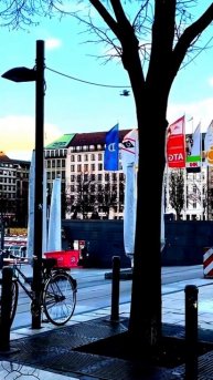 Камера запечатлела правду