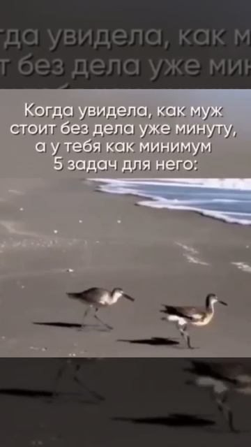 Юмор