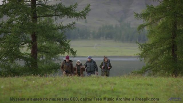 Мелодия, которая звучит как 'я люблю тебя' без слов... - Crystal Boom Persuasion -- Podington Bear -