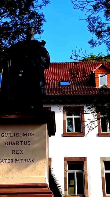 Что попало в кадр