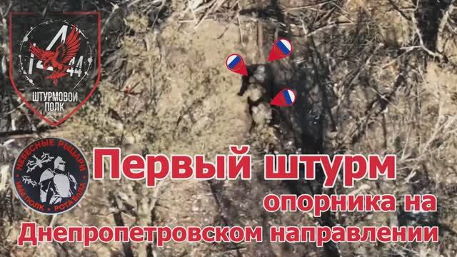 Первые столкновения в Днепропетровской области. Опорник противника в лесном массиве