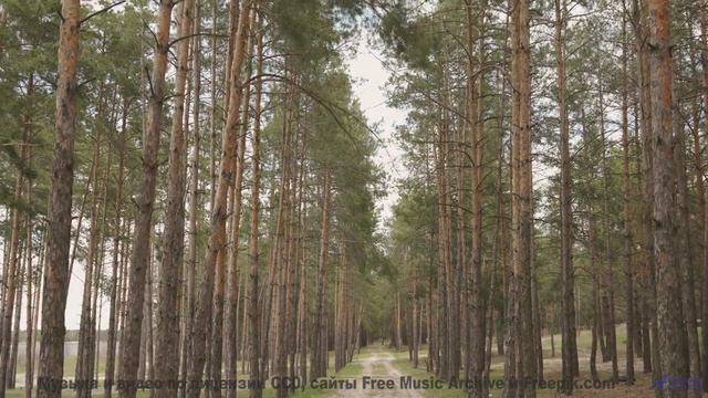 Музыка, которая рисует картины природы - Memoria (Mythic Mix) -- AKMV-18 -- Damnatio Memoriae EP