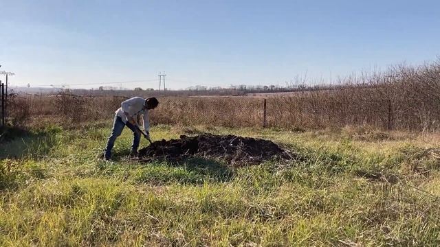 Сажаем озимый чеснок вместе