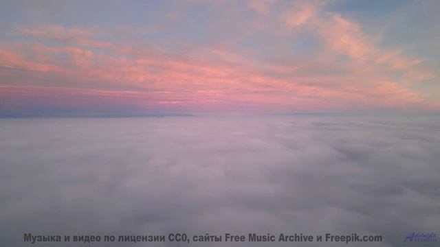 Поля и мелодия проникают под кожу мгновенно - Prove It -- Tadz -- Soul Symphonies Vol.1