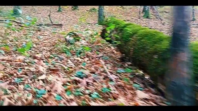 Прогулка к Водопаду Прохаскин, Водопад исчезает из-за