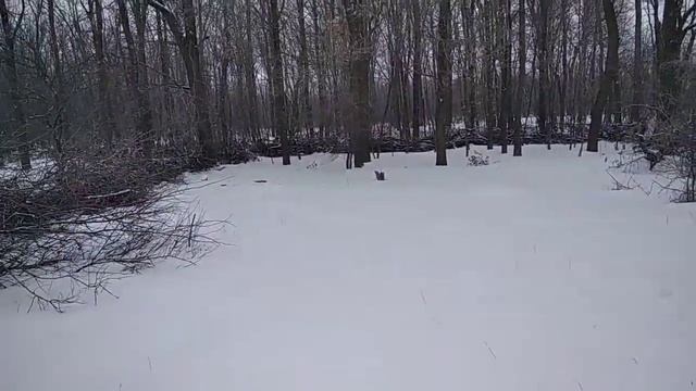 удобряем огород зимой