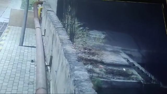 Охранник грузового склада услышал душераздирающий женский крик