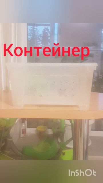 Это мой питомец!🐜
